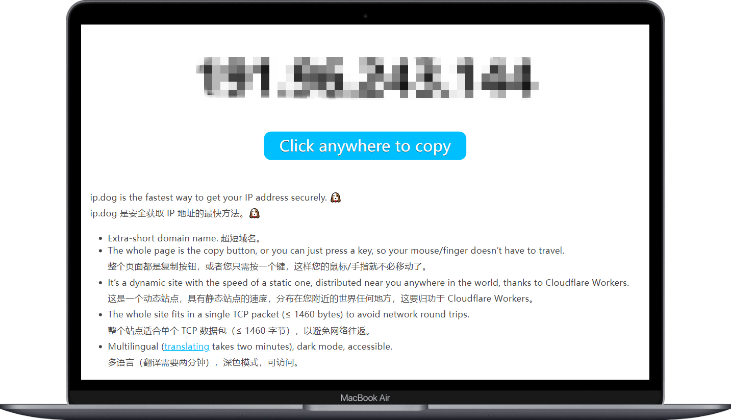 ip.dog - 安全获取IP地址的最快方法